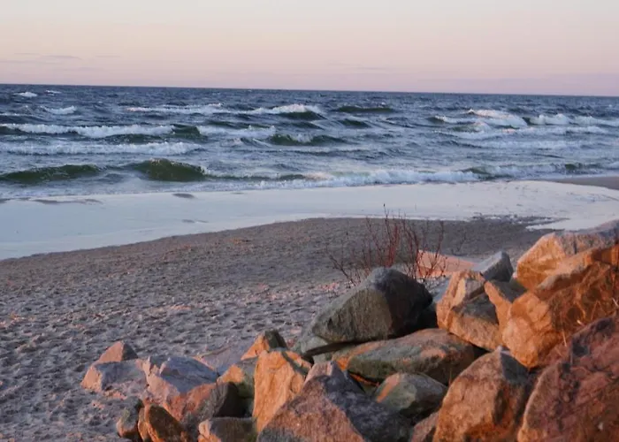 Apartment Wind Rose *